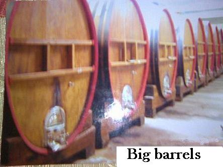 5000 liter oak barrels